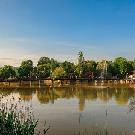 Solankowe Zacisze Boho Inowroclaw Daire Dış mekan fotoğraf