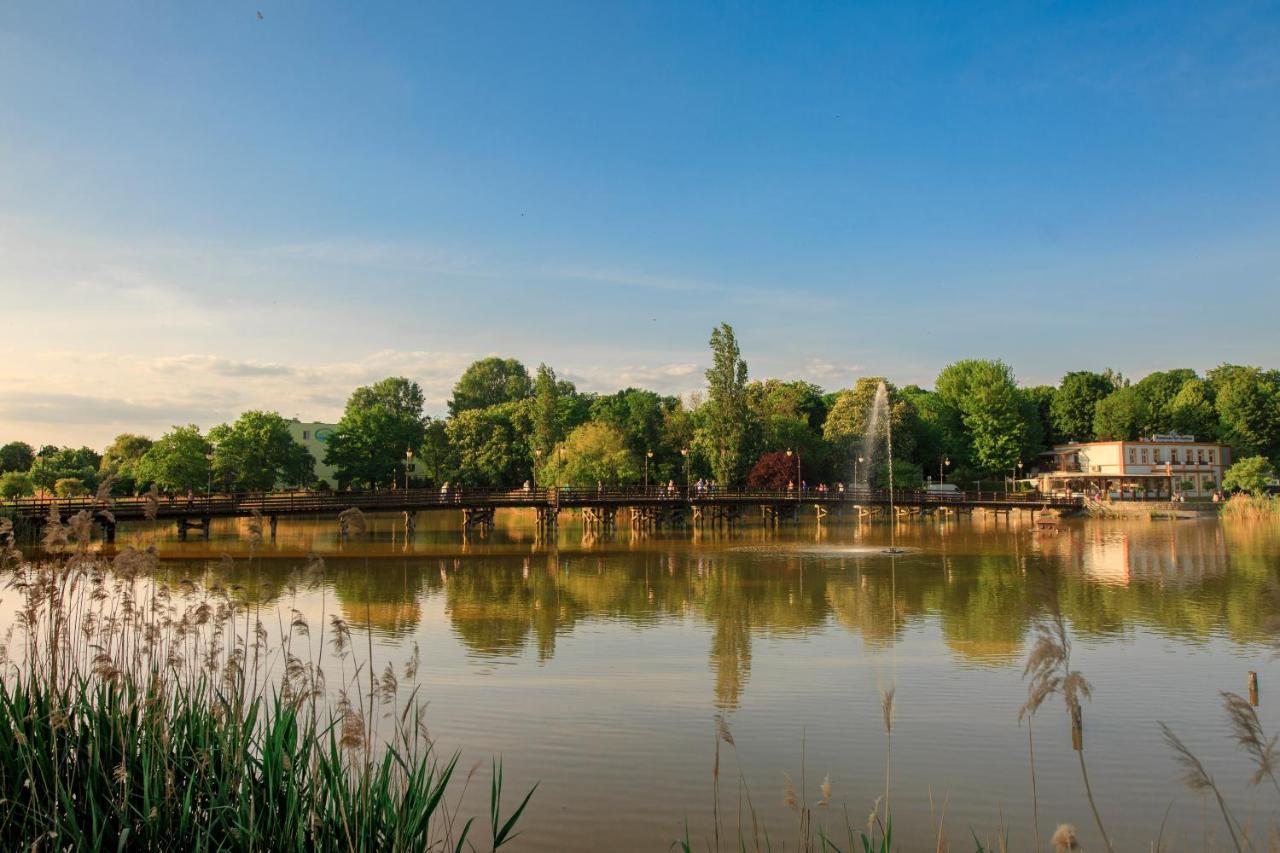 Solankowe Zacisze Boho Inowroclaw Daire Dış mekan fotoğraf